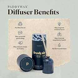 Paddywax Petite Collection Scented Oil Reed