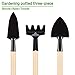 Mosuch Mini Garden Tools, Perfect 3 Piece Garden Set Stainless Steel Garden Tool Set Wood Handle Shovel Trowelthumb 3