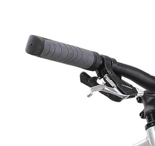 diamondback calico bike