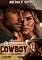 Livro Um sonho de cowboy