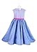 Disney Cinderella Fairy Godmother Women's Costume Small Blue