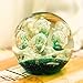 WHW Whole House Worlds Emerald Green Dynamic Bubbles, Paperweight, Handcrafted Art Glass, 3 1/2 Inches