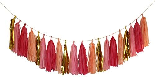Tissue Paper Tassel Garland - Birthday, Baby Shower, Wedding, Graduation Party Pink/Gold Garland Bunting Pom Pom- 20 Tassels