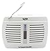 Gurin DHMD-110 Renewable Wireless Dehumidifier, Mini