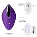 Wearable Vibrator Panties with Wireless Remote Control Clitoris Stimulation 10 Frequency Vibration Adult Sex Toy for Women (Purple)