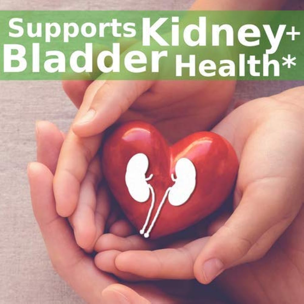 Kidney Bladder Tea (4oz) Herbal Supplement Organic Cleanses & Supports