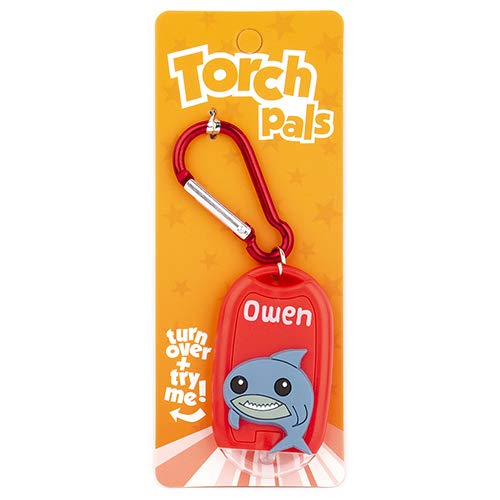 Personalised Torch Pals - Owen