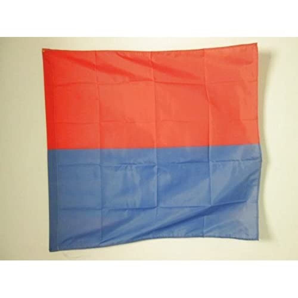 AZ FLAG - Canton of Ticino Flag - 3x3 Ft - 100% Polyester Ticino - TI Banner with Sleeve - Fade Resistant - Vivid Colors - 3' x 3' Feet - 90x90 Cm