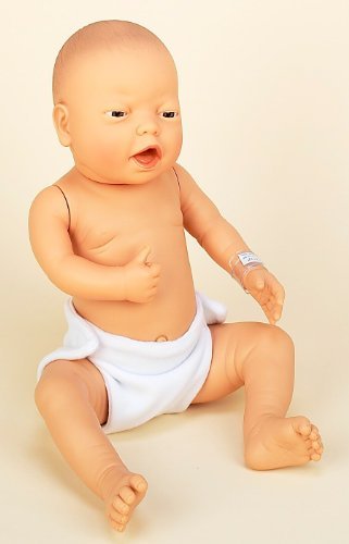 Anatomically Correct 21