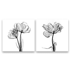 SIGNFORD 2 Panel Canvas Wall Art Black and...