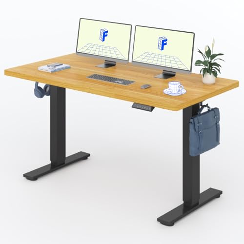 FLEXISPOT Höhenverstellbarer Schreibtisch Basic 160x80cm