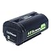 Lasica OP4050A 40V 6000mAh Lithium Battery for Ryobi 40-Volt Collection Cordless Power Tools Li-ion Battery OP4040 OP4026A OP40201 OP40261 OP4030 OP40301 OP40401 OP40601 OP40501 Ryobi 40V Battery primary