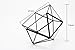 Modern Tabletop Black Glass Pentagon Geometric Terrarium Container Window Sill Decor Flower Pot Balcony Planter Diy Display Box for Succulent Fern Moss Air Plants Mniature Fariy Garden Gift (No Plant)