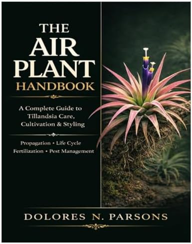 Air Plants: The Curious World of Tillandsias: Sengo, Zenaida