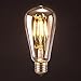 LEDesign 8002682134 Dimmable Edison ST21 LED Vintage Filament Light Bulbs, 6.5W (60W Equivalent), 800 Lumen, 2700K (Soft Warm White), E26 Base, IC Driver, CRI 80+ (Pack of 6)