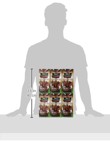 So Delicious Dairy-Free Organic Coconutmilk Beverage, Chocolate, 32 Ounce (Pack of 6) Plant-Based & Vegan, Great in Smoothies Protein Shakes or Cereal