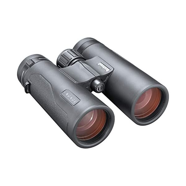 Bushnell Fernglas Engage DX 10x42 - Profi Fernglas, brilliante Bildqualität, detailreich, robust, mehrfach beschichtete Linsen, BENDX1042