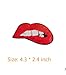 16 Pcs Iron On Embroidered Sequins Glitter Patch Set-Rose Diamond Love Heart Red Lips Lipstick Cherry Underbrella Eyeball Patch …
