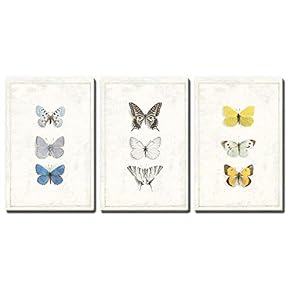 Collection of Magnificence - 3 Panel Canvas Art