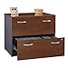 Bush Business Furniture Series C Lateral File Cabinet in Hansen Cherry