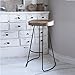 The Urban Port Antique Colonial Attractive Wooden Barstool with Iron Legs (Short)