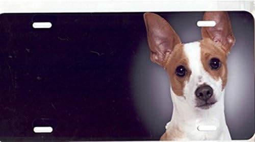 best brush for rat terrier