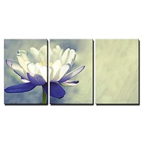 3 Piece Canvas Wall Art - Water Lily - Modern Home Art Stretched and Framed Ready to Hang - 16"x24"x3 Panels