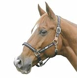 Roma Reflective Breakaway Halter