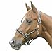 Roma Reflective Breakaway Halter