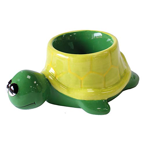 Crockery Critters Egg Cup from Deluxebase – Sea Turtle Ceramic Egg Holder, Cute Animal Shaped Boiled Egg Cups for Kids and Adults. Fun Novelty Gifts, Kitchen Decor and Tableware.