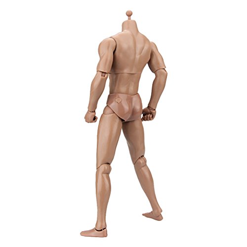 Owfeel No.1 Action Muscle Male Nude Body Figure Soldier Model Toys Doll 1:6 Scale for Hot Toys - Thumbnail 2
