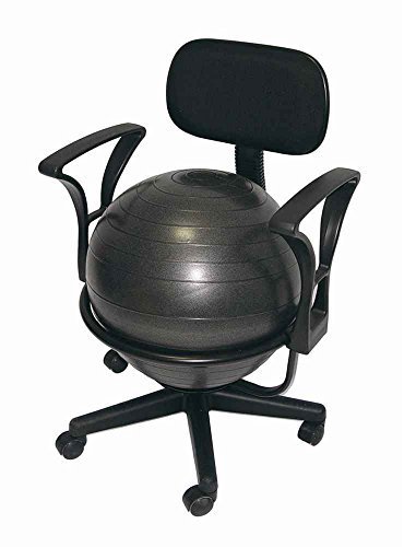 Aeromat Ergonomic Ball Office Chair