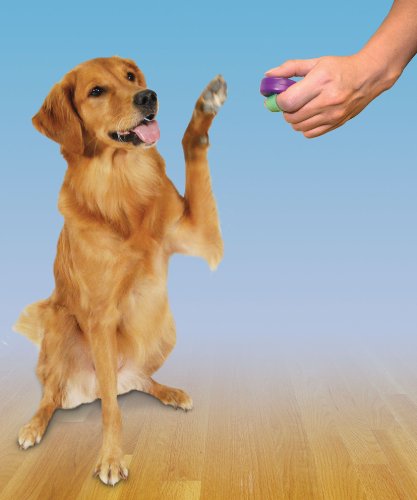 PetSafe Clik-R Dog Training Clicker - Image 3