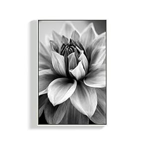 Canvas Wall Art for Living Room, Bedroom Plants Framed Canvas Prints for Home Decoration Ready to Hang - 16x24 inches