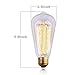 6-Pack Edison Light Bulbs 60 Watt, Vintage Incandescent Edison Bulb Set, 2700K Amber Warm Light - 380 Lumens - E26 Base - Clear Glass - Dimmable Antique Exposed Filament - ST64 Decorative Lightbulbs
