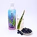 VIVALOE Blueberry Aloe 16.9fl oz (12 Pack)