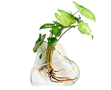 Buy Pinkdose Pinkdose Heart Shape M Behogar Glass Fish Bowl