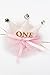 1st Birthday Girl Decorations, Baby Girl First Birthday Decorations, One Balloon, One Cake Topper, 12 Month Photo Banner, Crown, Highchair Decorations for 1st Birthday, First Birthday Decorations Girl