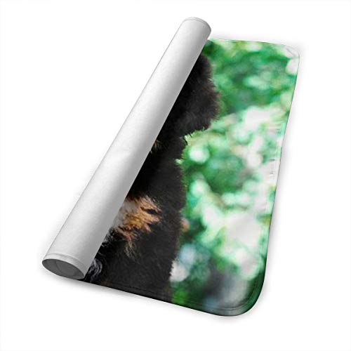 V5DGFJH.B Baby Portable Diaper Changing Pad Bernese Mountain Dog Urinary Pad Baby Changing Mat 31.5" x25.5'' - Thumbnail 3