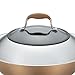 Anolon Advanced Hard-Anodized Nonstick 14