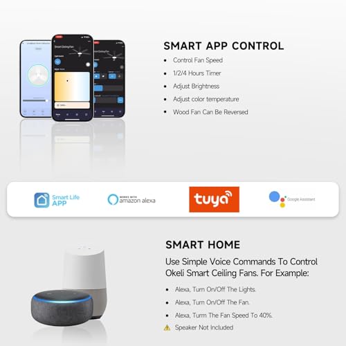 Roomratv Ventilador de techo inteligente de 52 pulgadas con luz regulable, silencioso, reversible, motor de CC, control remoto compatible con Alexa Google Home