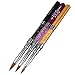3PCS 2 in 1 Acrylic Nail Brush for 3D Nail Art Design DIY Manicure Pedicure Tips Dual Head Brush Rhinestone Handle Professional Nail Art Tools