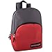 Classic 15 Inch Backpacks Bulk Wholesale Lot Case Pack 24 Back to School Supplies (8 Two Toned Colors)