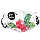 Fashion Activated Carbon mask,Watercolor Cranberry