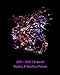 2019 - 2020 | 18 Month Weekly & Monthly Planner: July 2019 to December 2020 |Monthly Calendar with U.S./UK/ Canadian/Christian/Jewish/Muslim Holidays- ... 8 x 10 in.-Purple Dragon Mythical Vol 2 by 