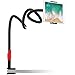 EasyAcc Gooseneck Tablet Stand Tablet Mount Holder Flexible Long Arm Clip Bed Desk Mount 360° Rotating Compatible with iPad Series iPhone 11 Pro Max Galaxy Tabs Kindle for 4-10.6 Inch Devices (Black)