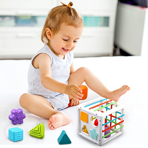 Baby Sensory Shape Sorter Blocks Toy Activity Cube Bins Montessori