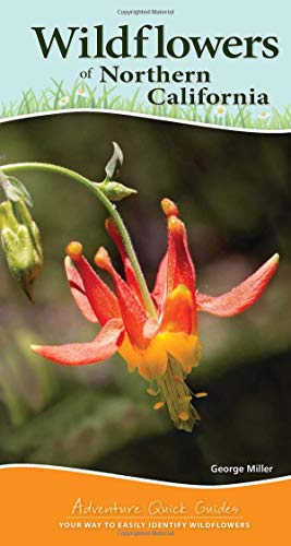 [R.e.a.d] Wildflowers of Northern California: Your Way to Easily Identify Wildflowers (Adventure Quick Guides) KINDLE