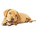 Nylabone Healthy Edibles Natural Puppy Chews Long Lasting Treats for Puppies, Turkey & Sweet Potato Flavor, Small/Regular (3 Count)