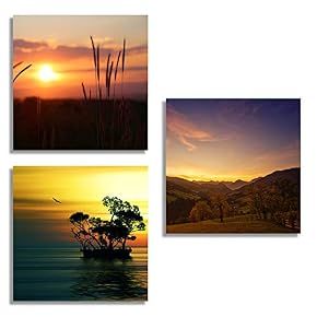 for Living Room Bedroom Home Artwork The Beautiful...